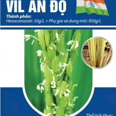 VIL ẤN ĐỘ