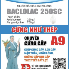BACLOLAC 250SC