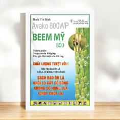 BEEM MỸ 800 – Avako 800WP