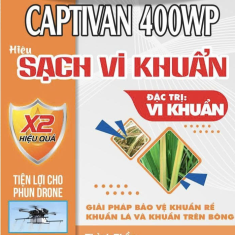 CAPTIVAN 400WP