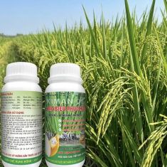 KIMAN O3 + BIO SIÊU PHỤC HỒI