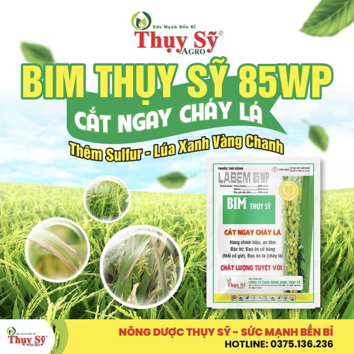 BIM THUỴ SỸ 85WP