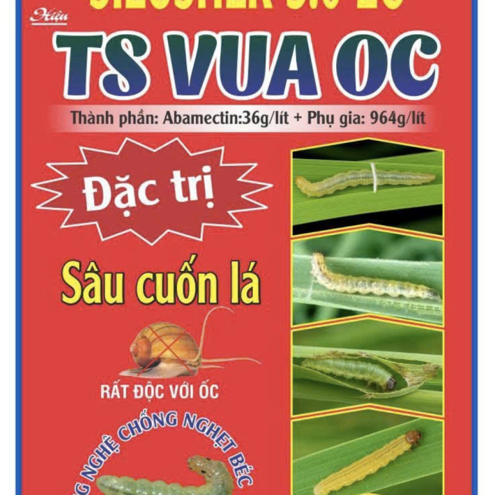 SIEUSHER 3.6 EC – TS VUA ỐC